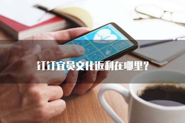 钉钉宜员文化返利在哪里？