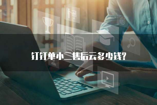 钉钉单小二售后云多少钱？
