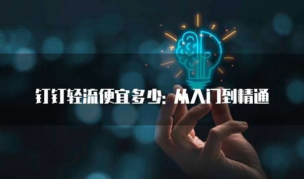钉钉轻流便宜多少: 从入门到精通
