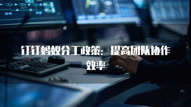 钉钉蚂蚁分工政策：提高团队协作效率