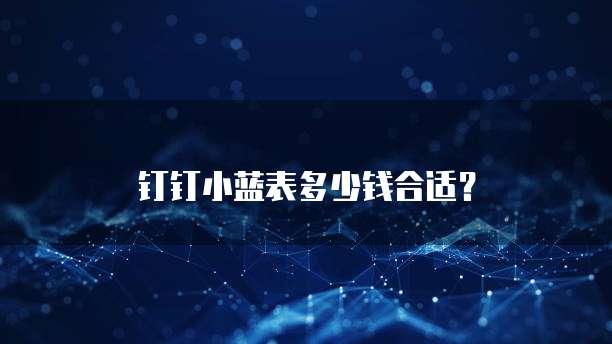 钉钉小蓝表多少钱合适？
