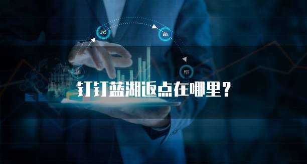 钉钉蓝湖返点在哪里？