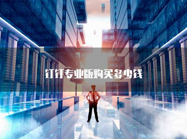 钉钉专业版购买多少钱