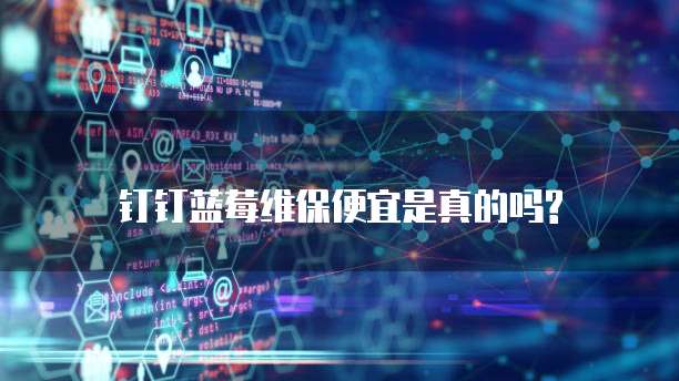 钉钉蓝莓维保便宜是真的吗?