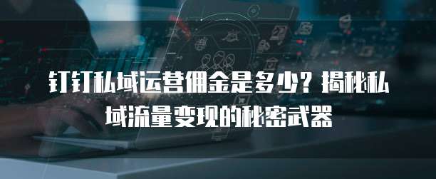 钉钉私域运营佣金是多少?揭秘私域流量变现的秘密武器