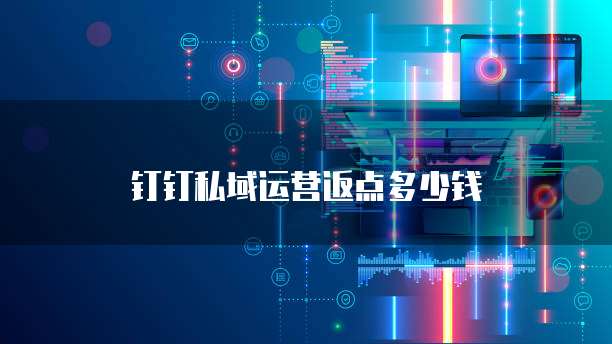 钉钉私域运营返点多少钱