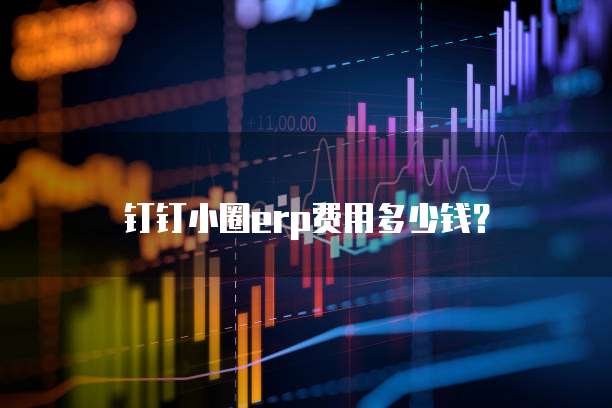 钉钉小圈erp费用多少钱？