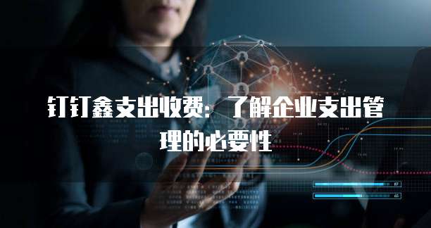 钉钉鑫支出收费：了解企业支出管理的必要性