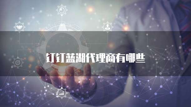 钉钉蓝湖代理商有哪些