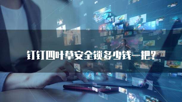 钉钉四叶草安全锁多少钱一把？