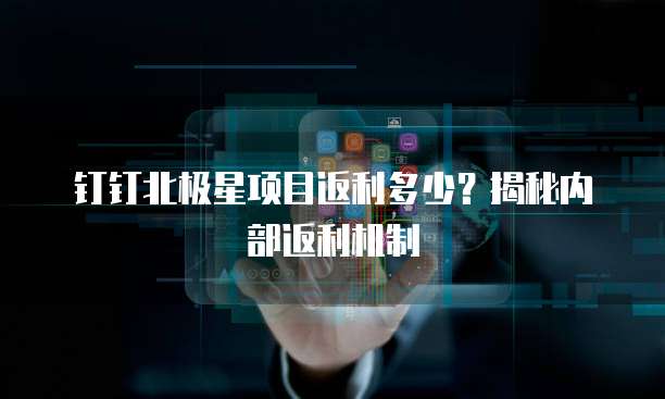 钉钉北极星项目返利多少?揭秘内部返利机制