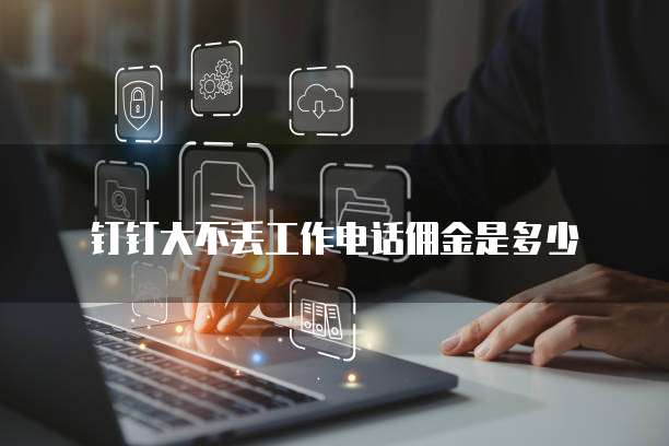 钉钉大不丢工作电话佣金是多少