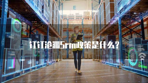 钉钉沧渊Srm政策是什么?