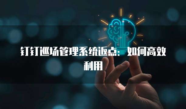 钉钉巡场管理系统返点：如何高效利用