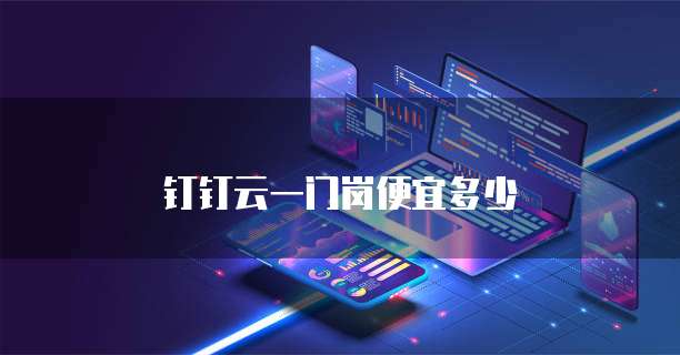 钉钉云一门岗便宜多少