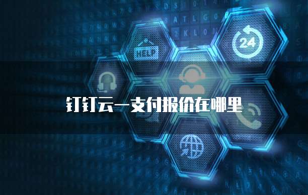 钉钉云一支付报价在哪里
