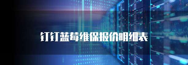 钉钉蓝莓维保报价明细表