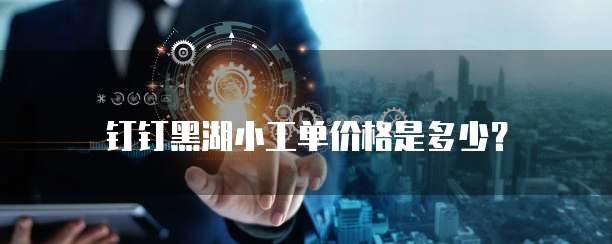 钉钉黑湖小工单价格是多少？