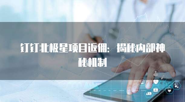 钉钉北极星项目返佣:揭秘内部神秘机制
