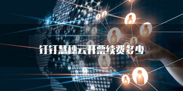 钉钉慧穗云开票续费多少