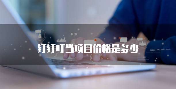 钉钉叮当项目价格是多少