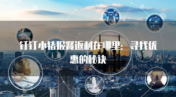 钉钉小猪报餐返利在哪里:寻找优惠的秘诀