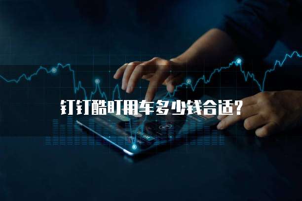 钉钉酷盯用车多少钱合适？
