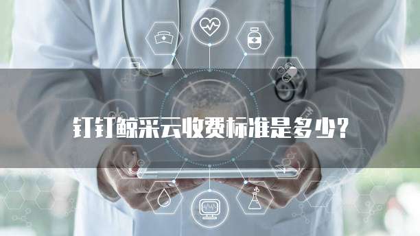 钉钉鲸采云收费标准是多少？