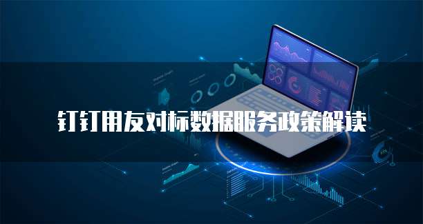 钉钉用友对标数据服务政策解读