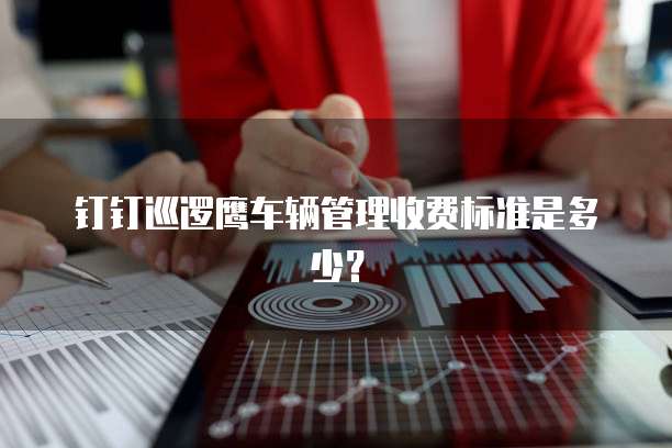 钉钉巡逻鹰车辆管理收费标准是多少？
