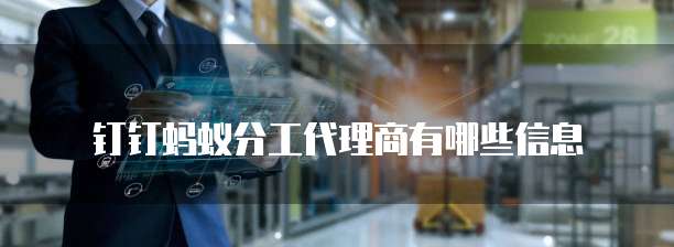 钉钉蚂蚁分工代理商有哪些信息