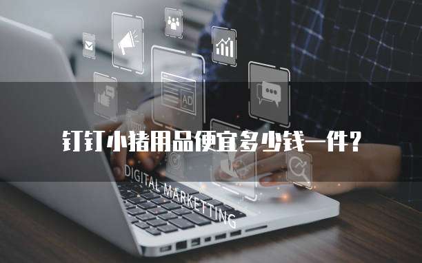 钉钉小猪用品便宜多少钱一件？