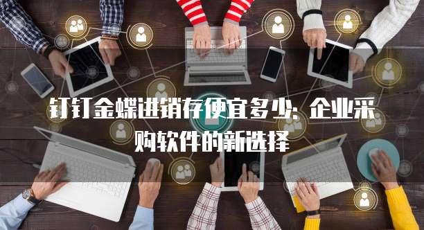 钉钉金蝶进销存便宜多少: 企业采购软件的新选择