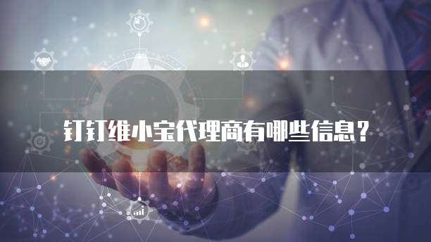钉钉维小宝代理商有哪些信息？