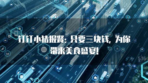 钉钉小猪报餐: 只要三块钱, 为你带来美食盛宴!
