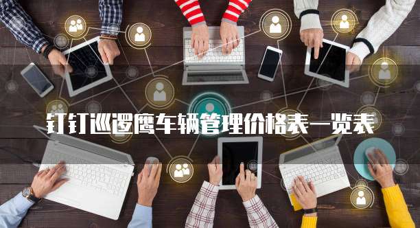 钉钉巡逻鹰车辆管理价格表一览表