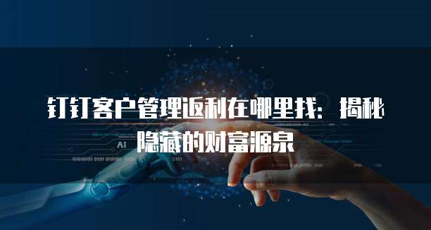 钉钉客户管理返利在哪里找:揭秘隐藏的财富源泉