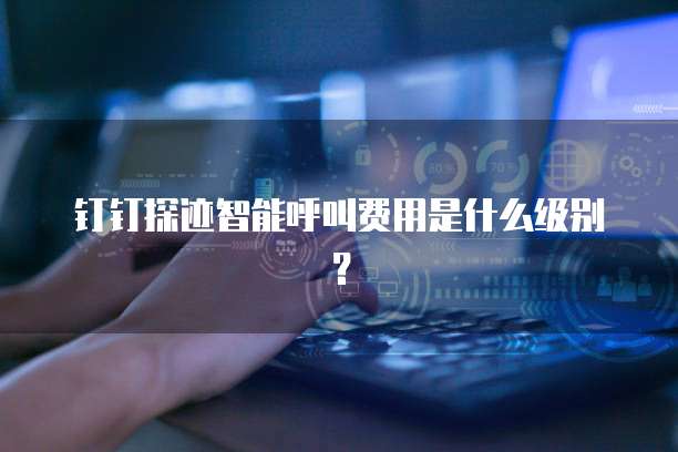 钉钉探迹智能呼叫费用是什么级别?