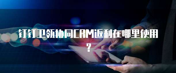 钉钉卫瓴协同CRM返利在哪里使用？