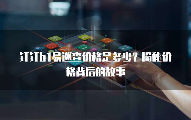 钉钉b1易巡查价格是多少?揭秘价格背后的故事