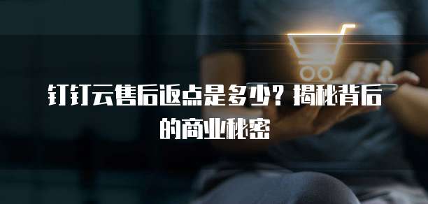 钉钉云售后返点是多少？揭秘背后的商业秘密