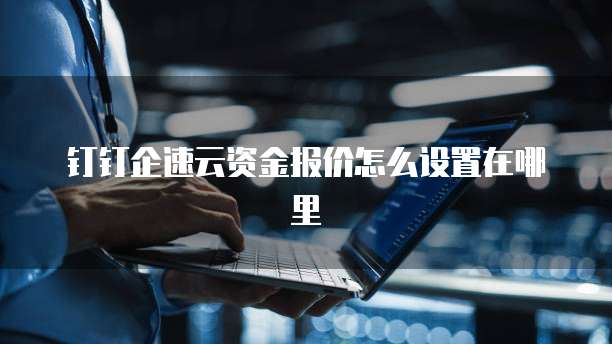 钉钉企速云资金报价怎么设置在哪里