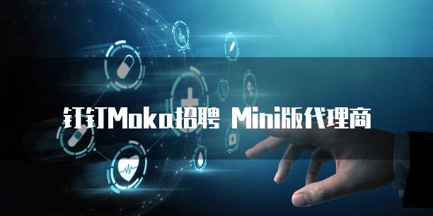 钉钉Moka招聘 Mini版代理商
