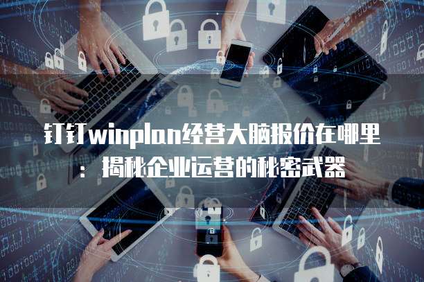 钉钉winplan经营大脑报价在哪里:揭秘企业运营的秘密武器