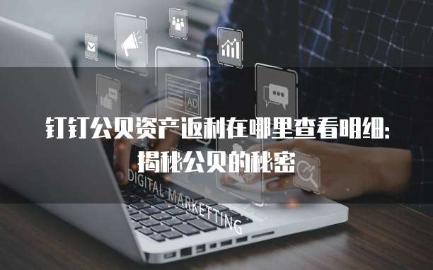 钉钉公贝资产返利在哪里查看明细:揭秘公贝的秘密