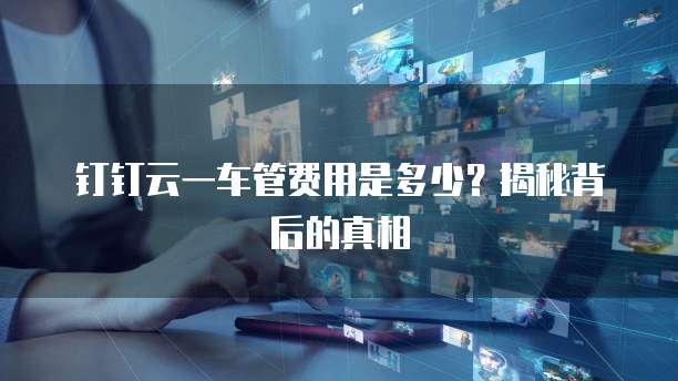 钉钉云一车管费用是多少？揭秘背后的真相