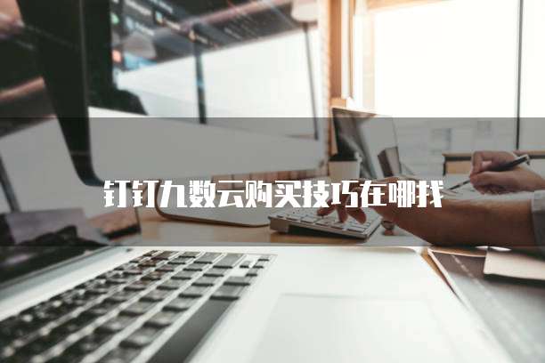 钉钉九数云购买技巧在哪找