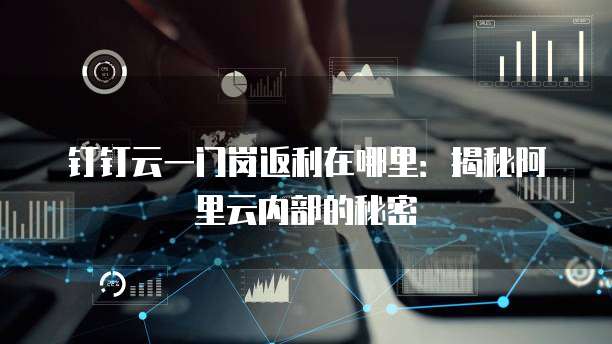 钉钉云一门岗返利在哪里：揭秘阿里云内部的秘密