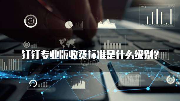 钉钉专业版收费标准是什么级别？
