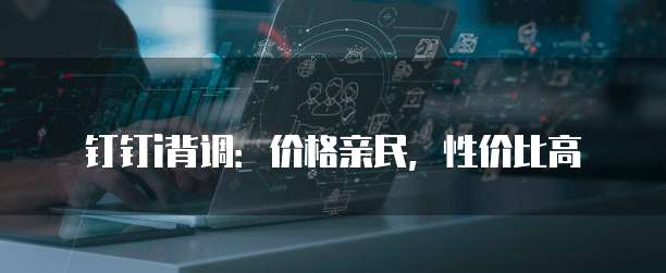 钉钉i背调:价格亲民,性价比高